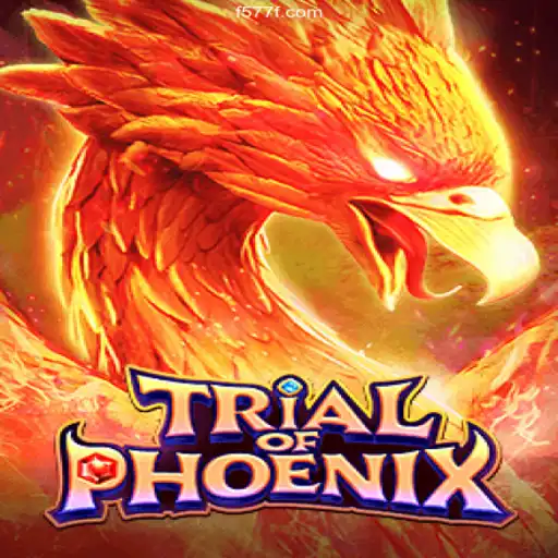 Trial of Phoenix: An Epic Adventure in the Heart of Brazil